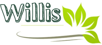 „WILLIS CAFÉ“-Logo, zur Startseite
